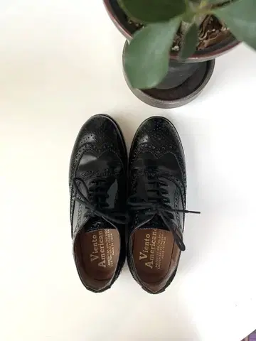 빅토리아 아메리칸 블랙 가죽 신발