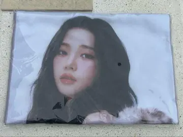 aespa aexis line 투어 슬로건 타월 카리나