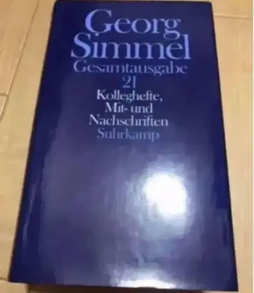Gesamtausgabe 21 외국도서 독일어 1343페이지