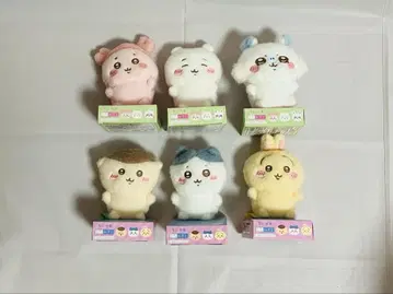 치이카와  6개 세트