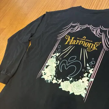 Mrs. GREEN APPLE Harmony 롱T셔츠 인기 L사이즈