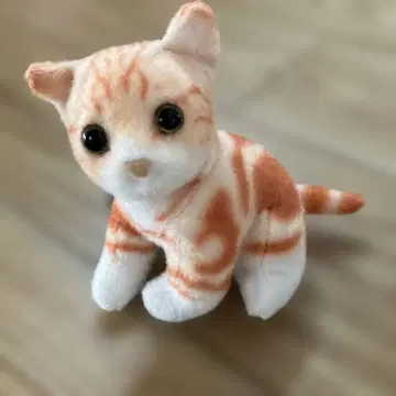 REAL ANIMAL 고양이 아스마리 마스코트BC 손바닥 사이즈