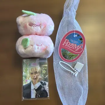 NCT 127 피치 인형 FROM J MD 트레이딩 카드 재현
