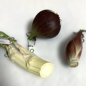 산채 무화과 명아 초롱꽃 미니어처 캡슐 토이 3개 세트