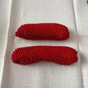 마이코 와레시노부 카노코 니혼가미