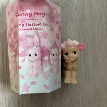 소니엔젤 체리 블라썸 양