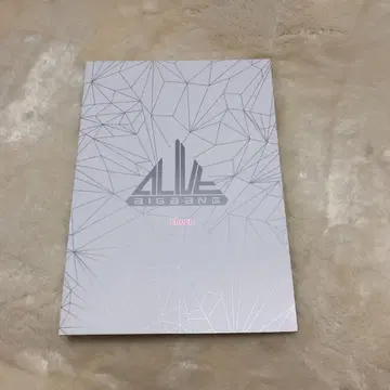 BIGBANG ALIVE 사진집