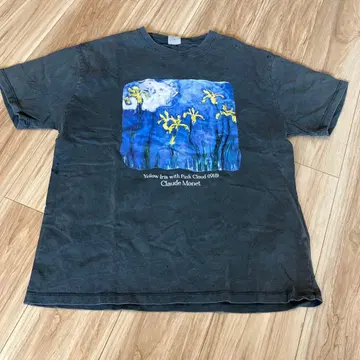 ZARA 이번 시즌 CLAUDE MONET 티셔츠 164cm