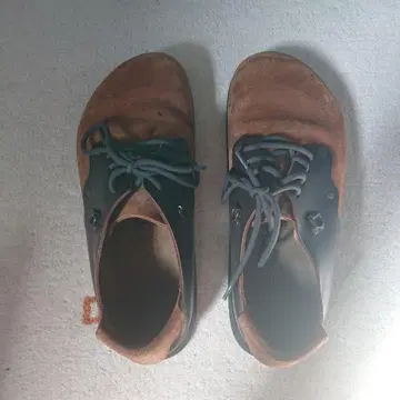 타타미 스니커즈 27cm 42