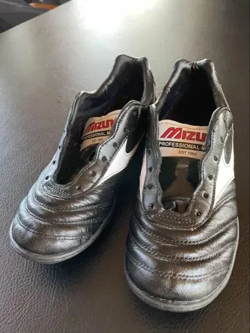 미즈노 프로페셔널 M 축구화