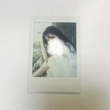 reirie 레이리 쿠로미야 레이 런 폴라로이드 솔로