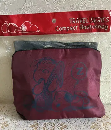 TRAVEL SERIES 컴팩트 보스턴 백