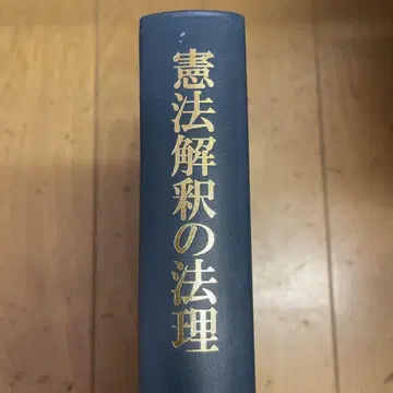 레어 명저 헌법 해석의 법리