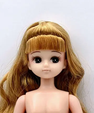 리카짱 리카짱 캐슬