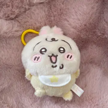토끼