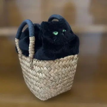 HAYNI 고양이 백