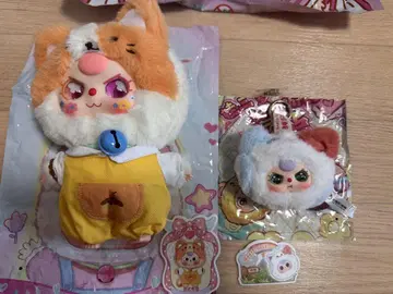 베이비 쓰리 고양이 레어 눈 세트