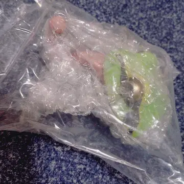 제일복권 파충류&양서류 D상 레프타일즈 헤드 마그넷 니혼 청개구리