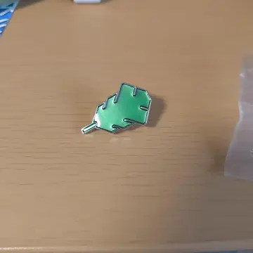 포켓몬 헬스장 배지 칸토편 그린 배지