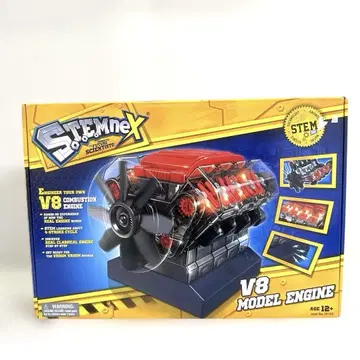 스템 넥 V8 모델 엔진