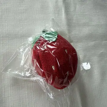 페이러 스트로베리 필드 참 레드