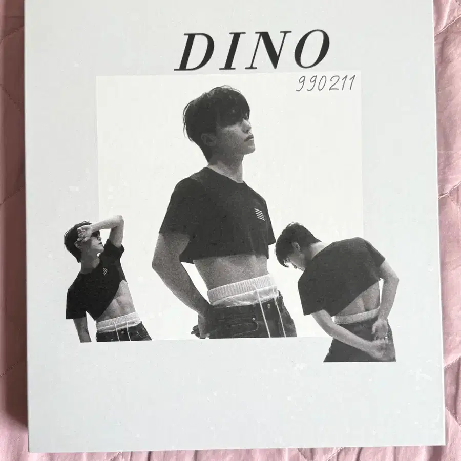 Seventeen dino binder