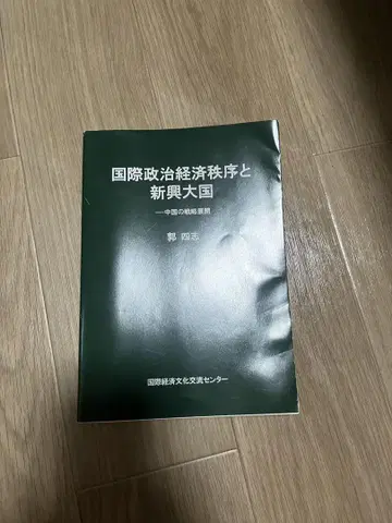 국제 정치 경제 질서와 신흥 대국