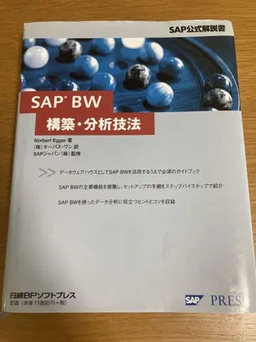 SAP BW 구축 분석 기법