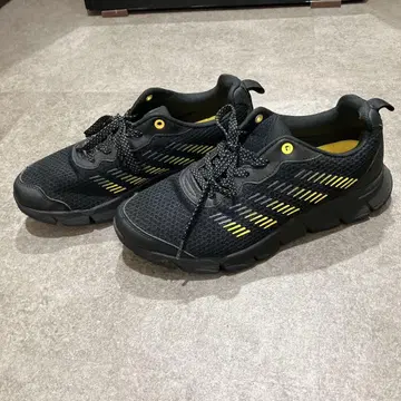 라이잽