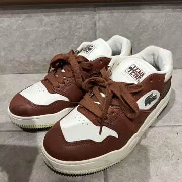 라코스테 가죽 스니커즈 24