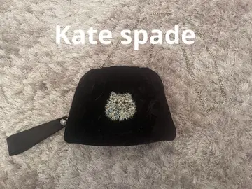 Kate spade 고양이 파티 백