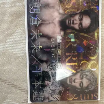 초인 태그 토너먼트 티켓