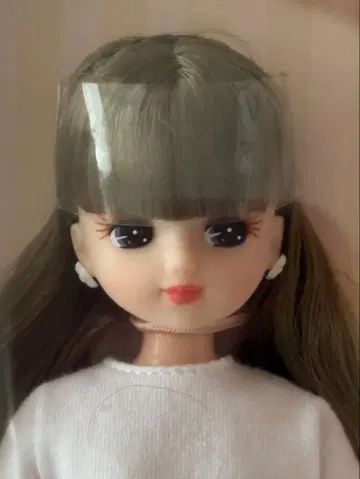 리카짱 캐슬 2024년 1월 셀렉션 모델 No.13049