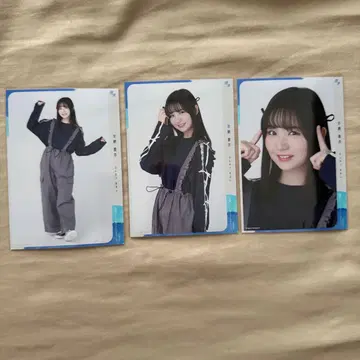 보쿠아오 보쿠가 미타캇타 아오조라 안노 아오이 트랙 자켓 브로마이드 컴프