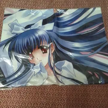 도카츠키단 카와카베 토우카 침대 시트