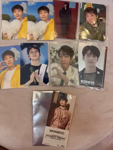원우 SEVENTEEN 디노