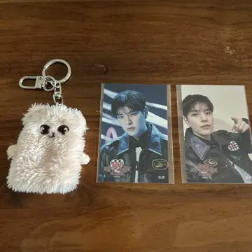 straykids skzoo 퍼핌 손가락 인형 스티커 세트