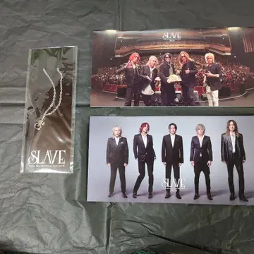 LUNA SEA SLAVE 팬클럽 특전 세트