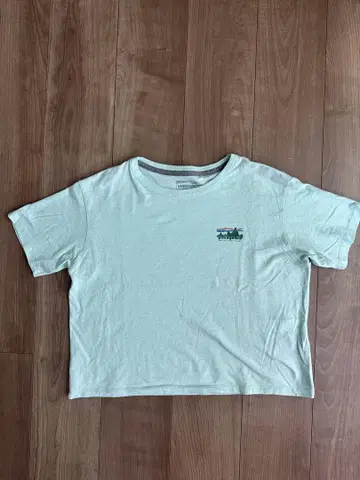 Patagonia 반팔 T셔츠 라이트 그린