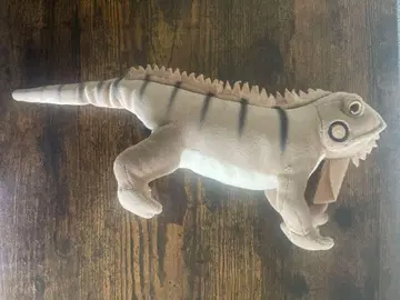 이구아나 봉제 인형