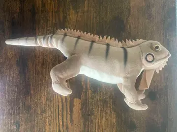 이구아나 봉제 인형