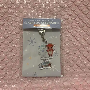 포켓몬 로컬Acts 물산전 최애 포켓몬 아크링 키링 로콘 아로라