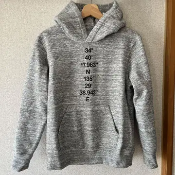 THE NORTH FACE 후드티
