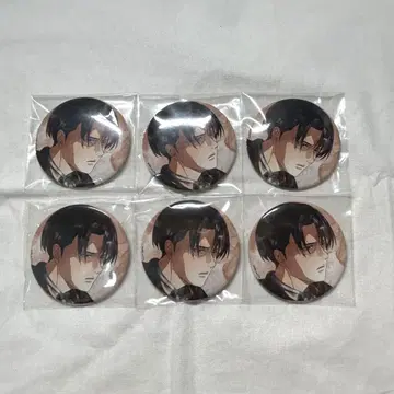 진격의 거인 리바이 Art-pic