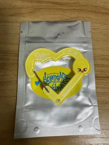 SKZOO SECRET ACRYLIC CARABINER 포가리