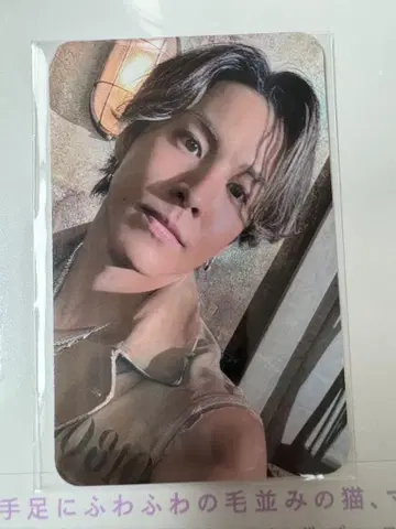 RIKU 트레이딩 카드 3