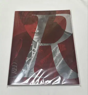 야마다 료스케 Ryosuke Yamada RED 팜플렛