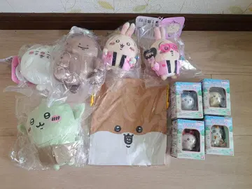 치이카와 나가노 세트 판매