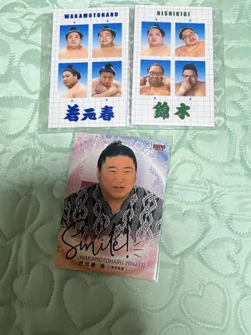 스모 와카모토하루 증명사진풍 스티커