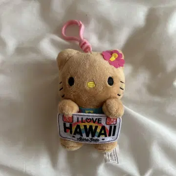 ABC store 한정판 헬로키티 I LOVE HAWAII 키링